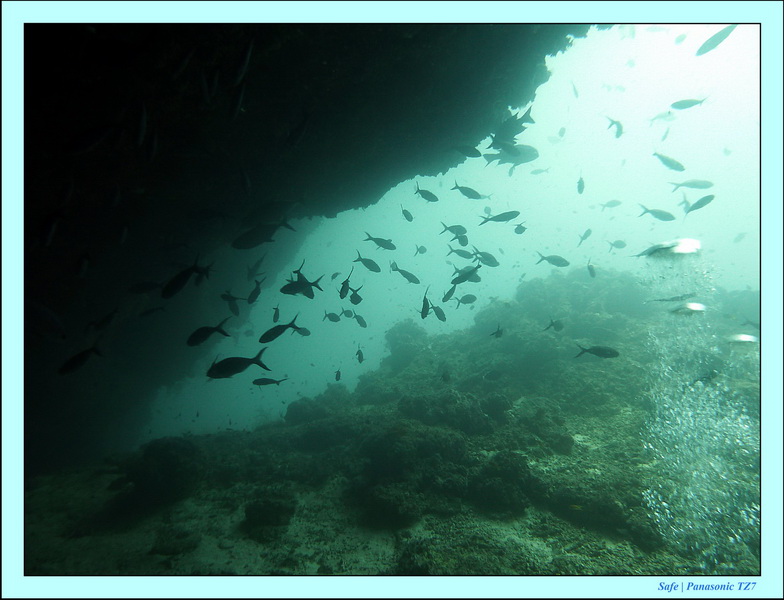 2011 - 08 - Borneo - Sipadan 011